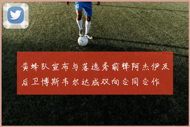 黄蜂队宣布与落选秀前锋阿杰伊及后卫博斯韦尔达成双向合同合作